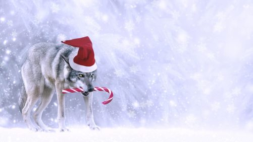 [BALADO] El hombre lobo, ¿un cuento de Navidad?