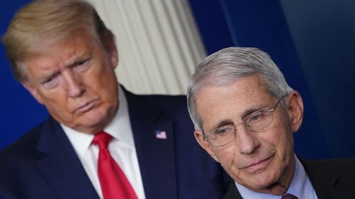 Trump retira toda la protección al doctor Anthony Fauci, su ex asesor de CovVI-19