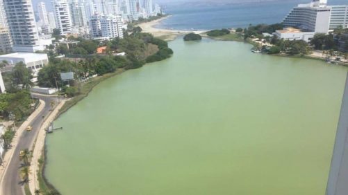 así es el proyecto para recuperar el Laguito, hoy afectado por la contaminación
