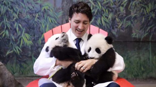 ¿Por qué los canadienses serán tan amables (y son tanto como piensan)?