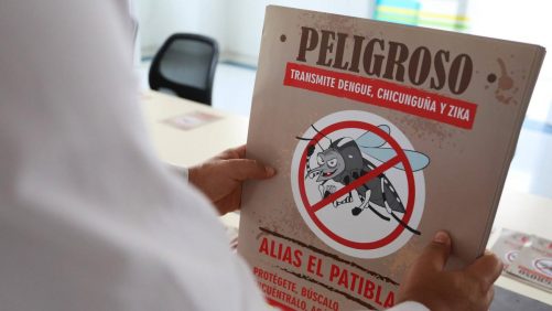 recomendaciones para prevenir el dengue en las escuelas