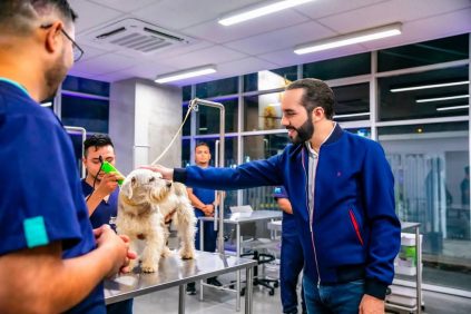 Chivo Pets seguirá operando y con un mayor presupuesto, informa el Presidente Bukele