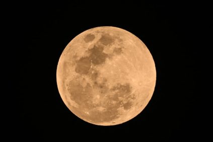 (En Vivo) Vea El Eclipse Lunar Total y La Luna de Sagre | Internacional | Noticias