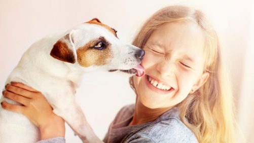 Pequeño retrato demográfico de dueños de gatos y perros en Quebec