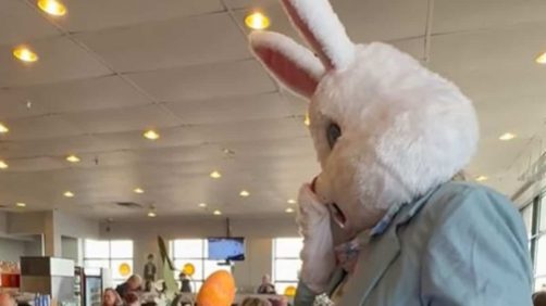 En video | Un ministro de CAQ se disfraza como conejo de Pascua