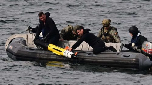 Türkiye: Nueve muertos en el hundimiento de un bote migrante en el mar Egeo