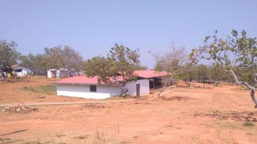 Defensoría del Pueblo advierte que conflicto del Catatumbo podría trasladarse a Serranía del Perijá