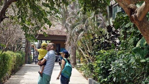 Zoológico de Barranquilla, listo para celebrar el Día de la Niñez