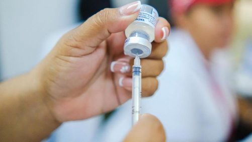 25 municipios están en alto riesgo de contagio por fiebre amarilla