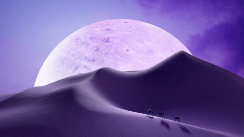 TODO Lo Que Debes Saber de la Luna Rosa de Abril de 2025 | Internacional | Noticias