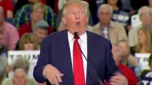 El próximo objetivo correcto Trumpist: personas con discapacidad