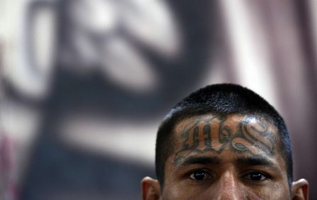 Capturan a tres pandilleros de la MS-13 en Florida por homicidio