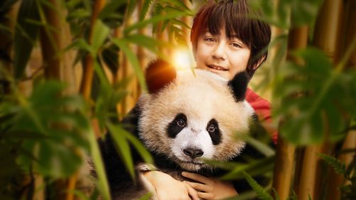 Crítica de "Moon the Panda": ¿Qué es más lindo que un panda de bebé?