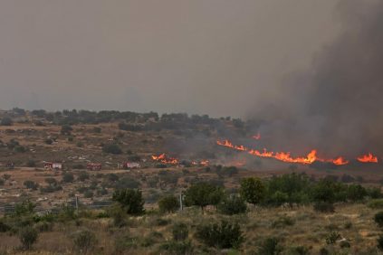 Miles de evacuados por incendio forestal en Israel | Internacional | Noticias