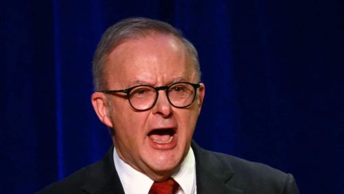 Elecciones en Australia: el victorioso primer ministro afirma haber tenido una conversación "cálida" con Trump