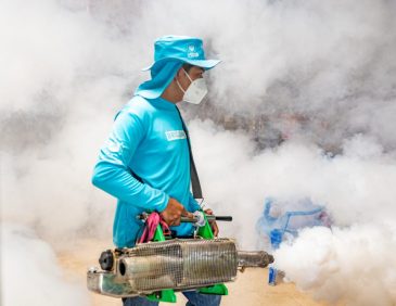 DOM alcanza cerca de medio millón de viviendas fumigadas en 45 días