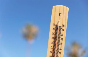 Ola de calor en España Podría dejar temperaturas superiores a 42 ºC | Internacional | Noticias