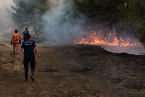 Incendios en Turquía Obligan A Más de 50,000 Personas A Ser Evacuadas | Internacional | Noticias