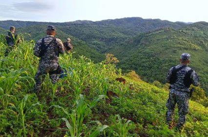 PNC desarrolla dispositivo de seguridad tras hallazgo de campamento clandestino de la MS-13, en Morazán |