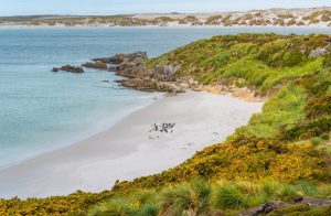 La oea Llama A Reanudar Negociacionas Entre Argentina y Reino Unido Sobre Las Islas Malvinas | Internacional | Noticias