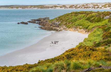 La oea Llama A Reanudar Negociacionas Entre Argentina y Reino Unido Sobre Las Islas Malvinas | Internacional | Noticias