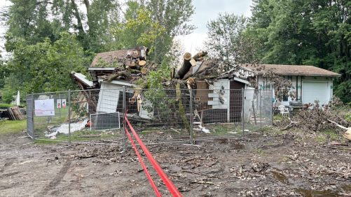 Casa destruida por un gran árbol en los laurentianos: aquí están los errores cometidos por la compañía de lanzamiento
