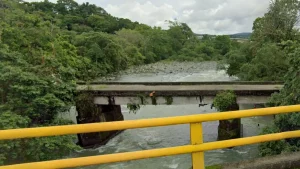 Autoridades encontraron a un bebé recién nacido a orillas de un río en Urabá; menor aún tenía el cordón umbilical
