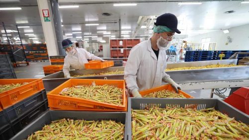 Ferrero en el proceso de comprar el fabricante del carambar
