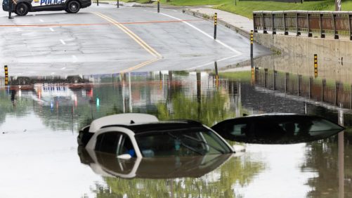 Rains Diluvian y calor extremo: un verano en Sawfall hasta ahora en Quebec