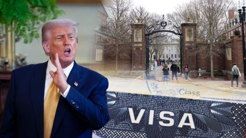 Estados Unidos Abre Investigación A Harvard por Su Patrocinio de Visados Internacionales | Internacional | Noticias