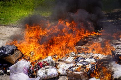Autoridades salvadoreñas han destruido 26 toneladas de droga en lo que va de 2025 |