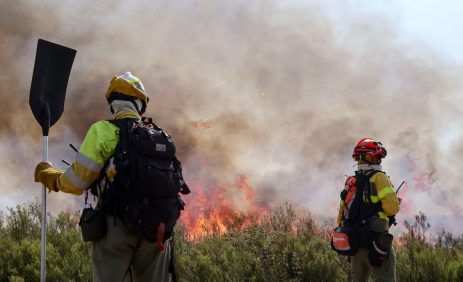 Un hombre muere en madrid y otros miles hijo evacuados en medio de incendios activos en españa | Internacional | Noticias