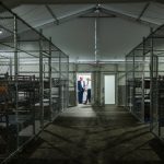 Una Jueza Frena La Construcción del Centro 'Alligator Alcatraz' por demanda Ambiental | Internacional | Noticias