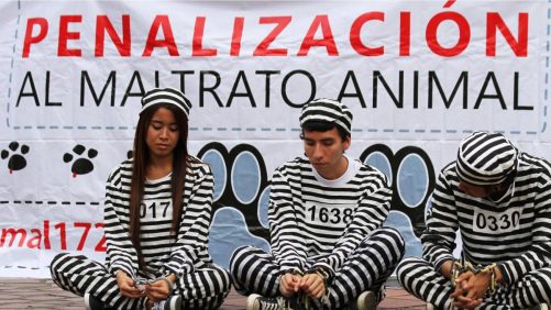 el animal se desplomó, tras ataque brutal con un machete