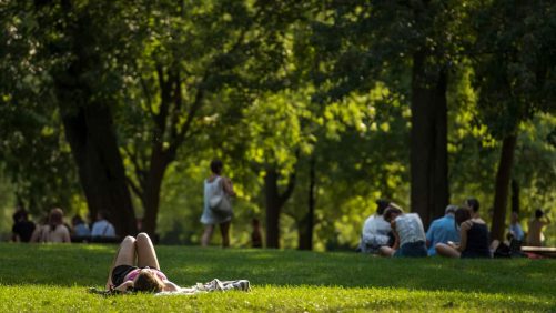 Llega a septiembre, pero el verano se aferra: el sol volverá a la provincia