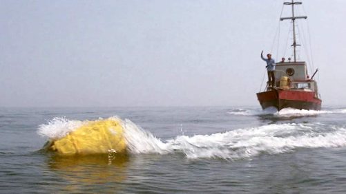 "Los dientes del mar" celebra su 50 aniversario: regresa a una sesión de pesadilla