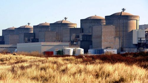 La planta de energía nuclear más grande de Europa occidental se detuvo debido a la medusa