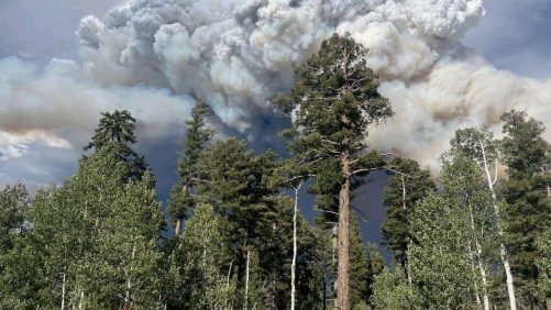 En imágenes | Un incendio devastado durante un mes durante un mes del Gran Cañón