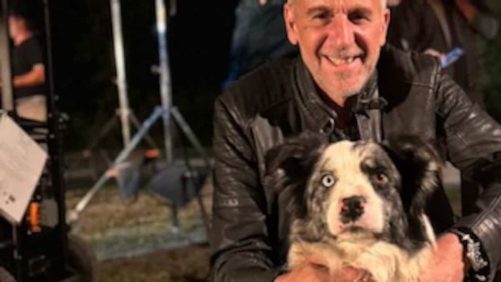 Aquí están Scott y Mack, dos estrellas en las cuatro patas de TV y Quebec Cinema