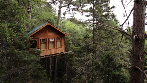 7 estancias pacíficas en cabañas encantadoras
