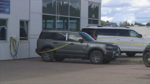 Drogas encontradas en nuevos vehículos de México en Saguenay