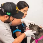 ¿Tiene mascota en Cali? Esto es lo que debe conocer sobre el servicio de urgencias y emergencias que tiene el Centro de Bienestar Animal