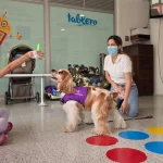 Medellín tiene el primer programa de rehabilitación con perros para pacientes quemados
