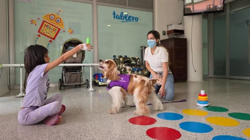 Medellín tiene el primer programa de rehabilitación con perros para pacientes quemados