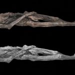 Arqueólogos Descubren Ingresantes Tatuajes en Momias Congeladas Hace Unos 2.000 de Años en Montañas de Rusia | Internacional | Noticias