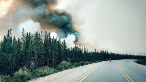 Incendios forestales en Quebec: una caída récord que hace temer lo peor
