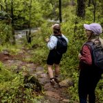 El Salvador ha recibido a más de 3.1 millones de turistas extranjeros, este año |