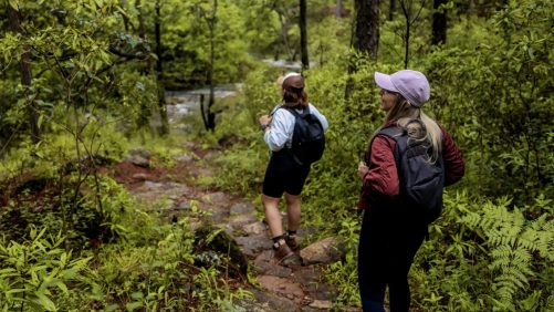 El Salvador ha recibido a más de 3.1 millones de turistas extranjeros, este año |