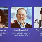 Que Son Las Células T, Las “Guardias de Seguridad” del Sistema Inmunológico cuyo Descubrimento Fue Premiado Con El Nobel de Medicina 2025 | Internacional | Noticias
