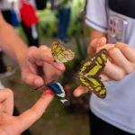 Con la presentación de un llamativo mariposario se abrieron las puertas de la Ciudadela Educativa de la Biodiversidad en el norte de Cali